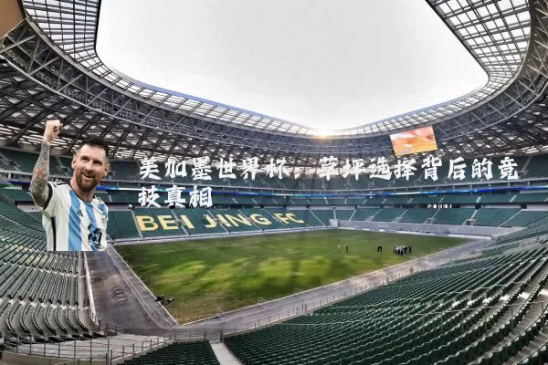 美加墨世界杯：草坪选择背后的竞技真相