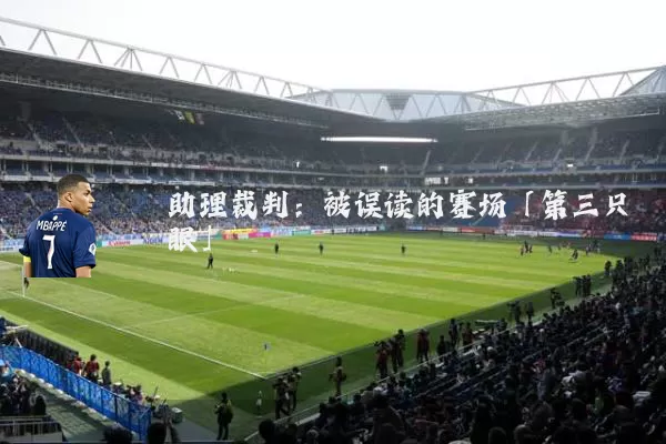 助理裁判：被误读的赛场「第三只眼」